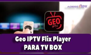 Geo IPTV Flix Player tv box